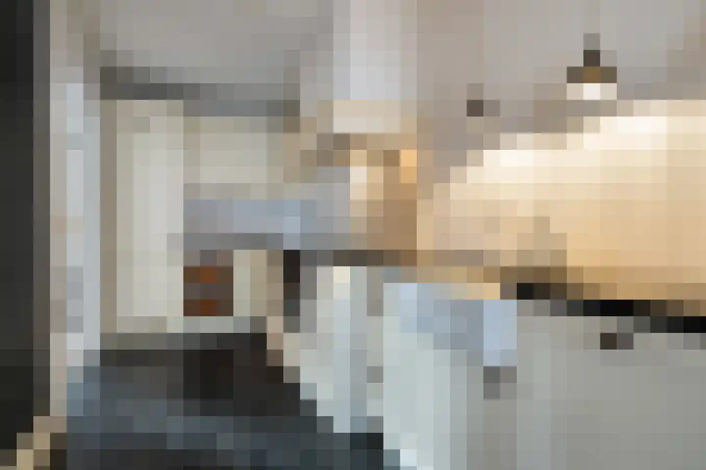 Dorpsstraat 82 Renswoude thumbnail 8