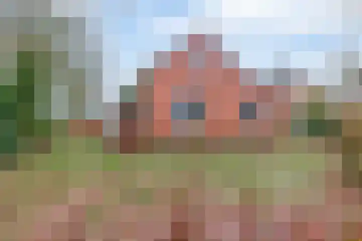 Dorpsstraat 82 Sellingen thumbnail 5