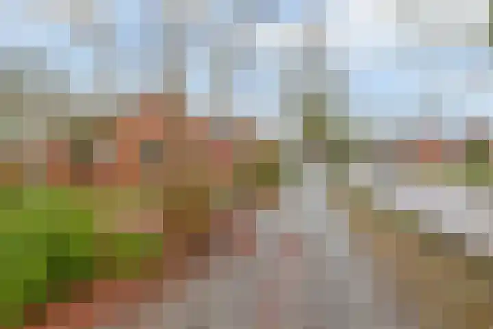 Dorpsstraat 82 Sellingen thumbnail 8