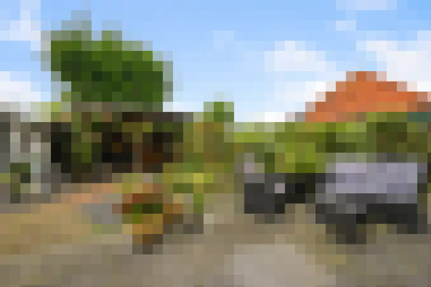 Dorpsstraat 826 Assendelft thumbnail 11