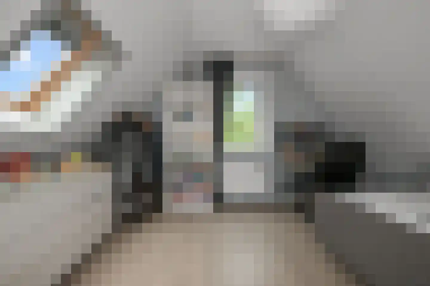 Dorpsstraat 826 Assendelft thumbnail 26