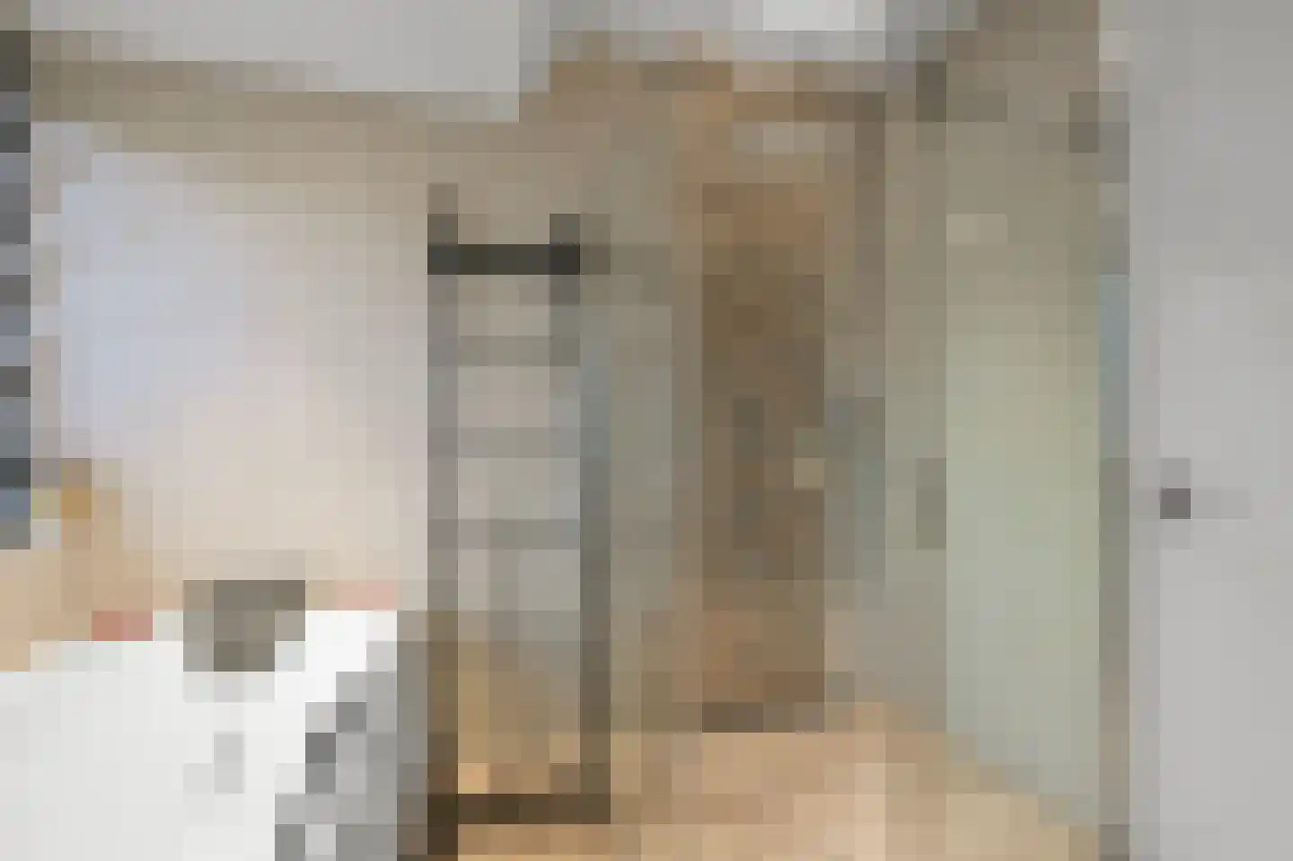 Dorpsstraat 826 Assendelft thumbnail 31