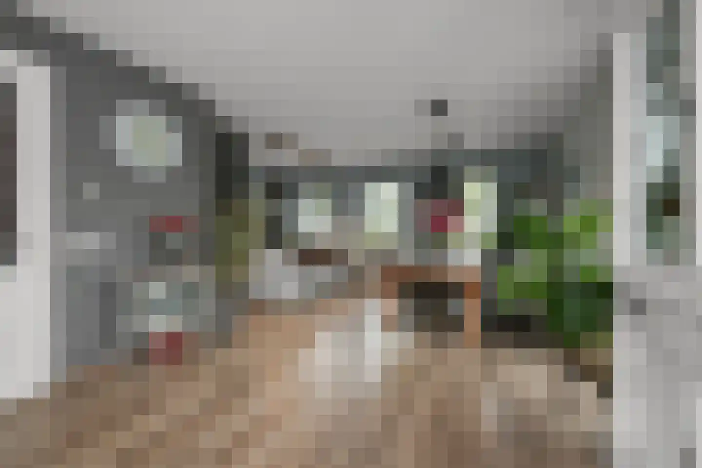 Dorpsstraat 826 Assendelft thumbnail 4
