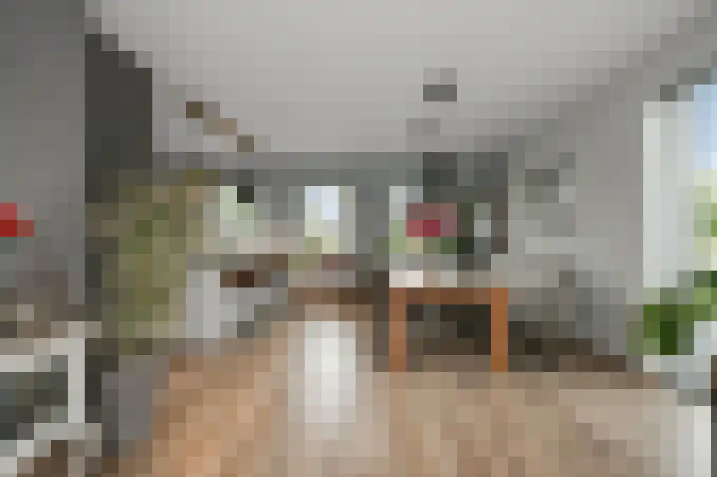 Dorpsstraat 826 Assendelft thumbnail 6