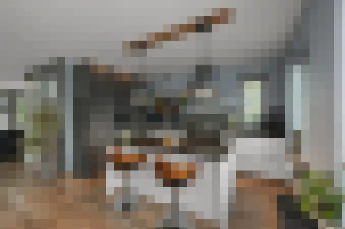 Dorpsstraat 826 Assendelft thumbnail 8