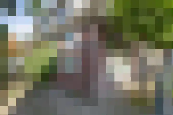 Dorpsstraat 83 Broek op Langedijk thumbnail 4