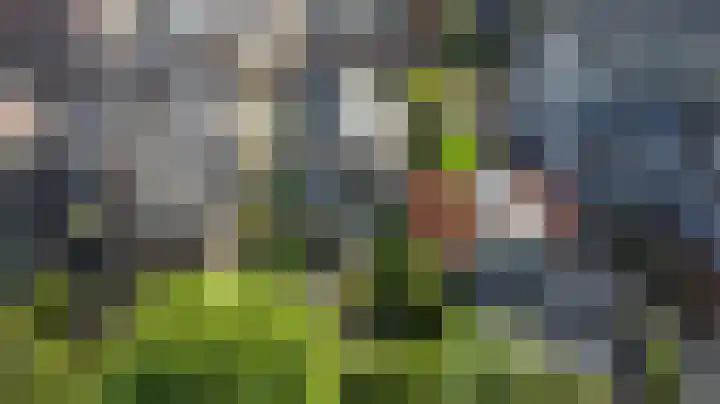 Dorpsstraat 83 Broek op Langedijk thumbnail 43