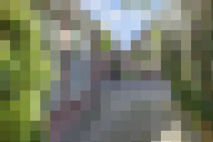 Dorpsstraat 83 Broek op Langedijk thumbnail 5