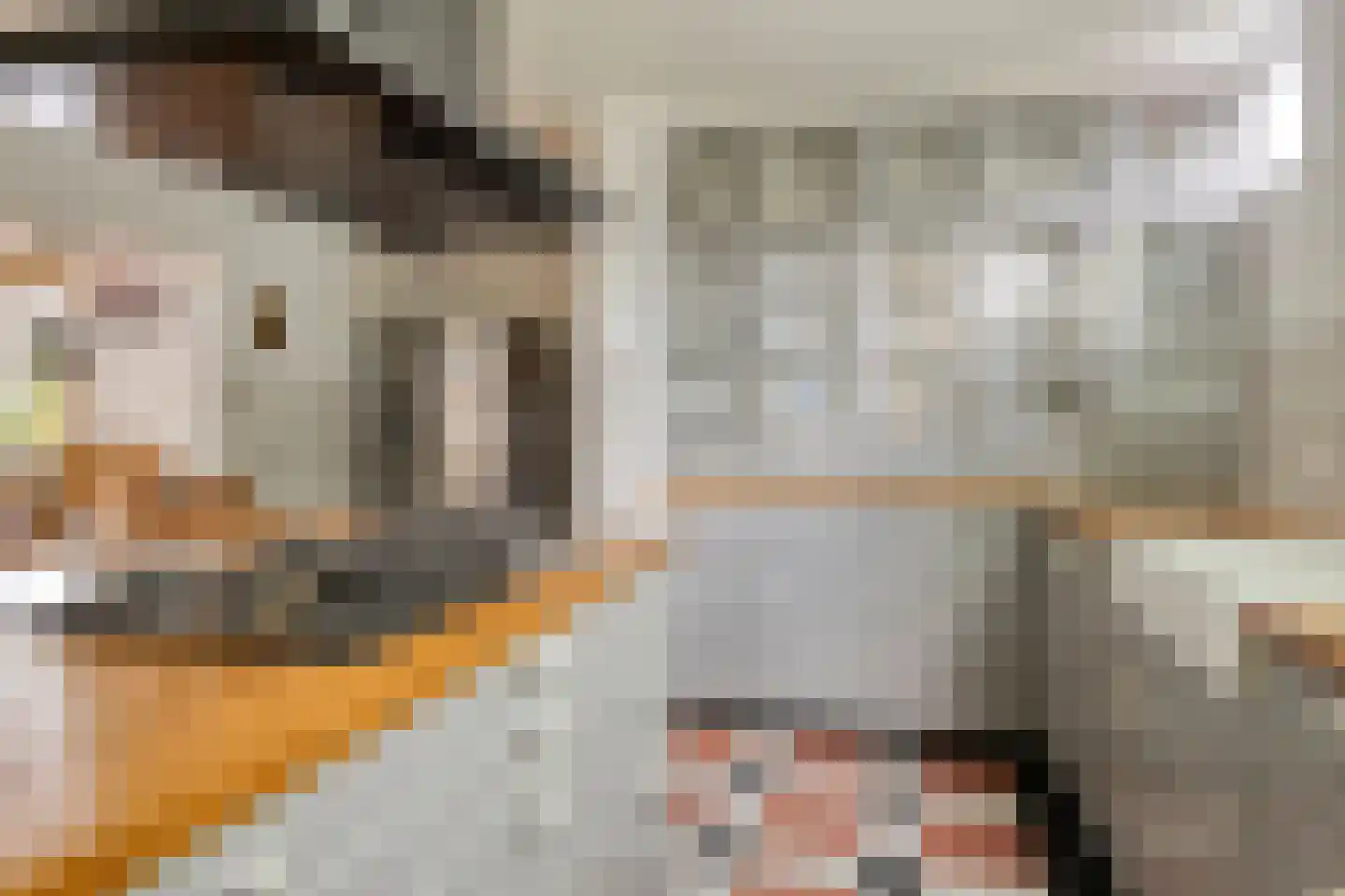 Dorpsstraat 83 Halsteren thumbnail 18