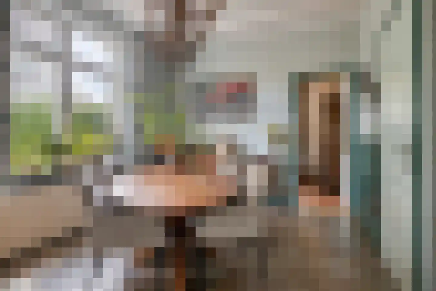Dorpsstraat 83 Halsteren thumbnail 22