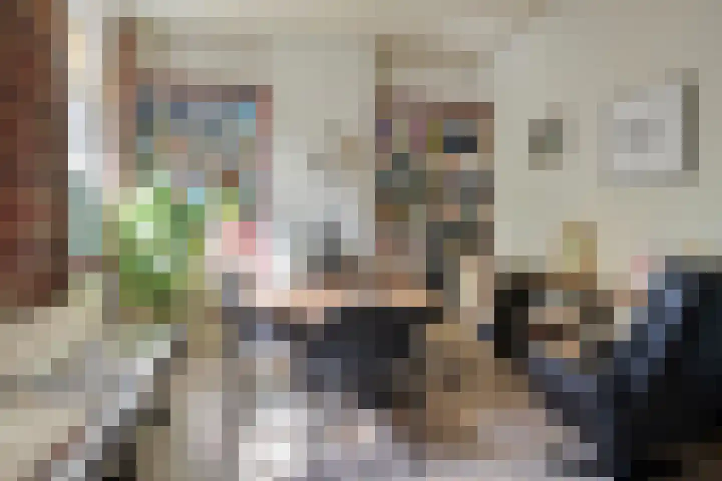 Dorpsstraat 83 Halsteren thumbnail 25