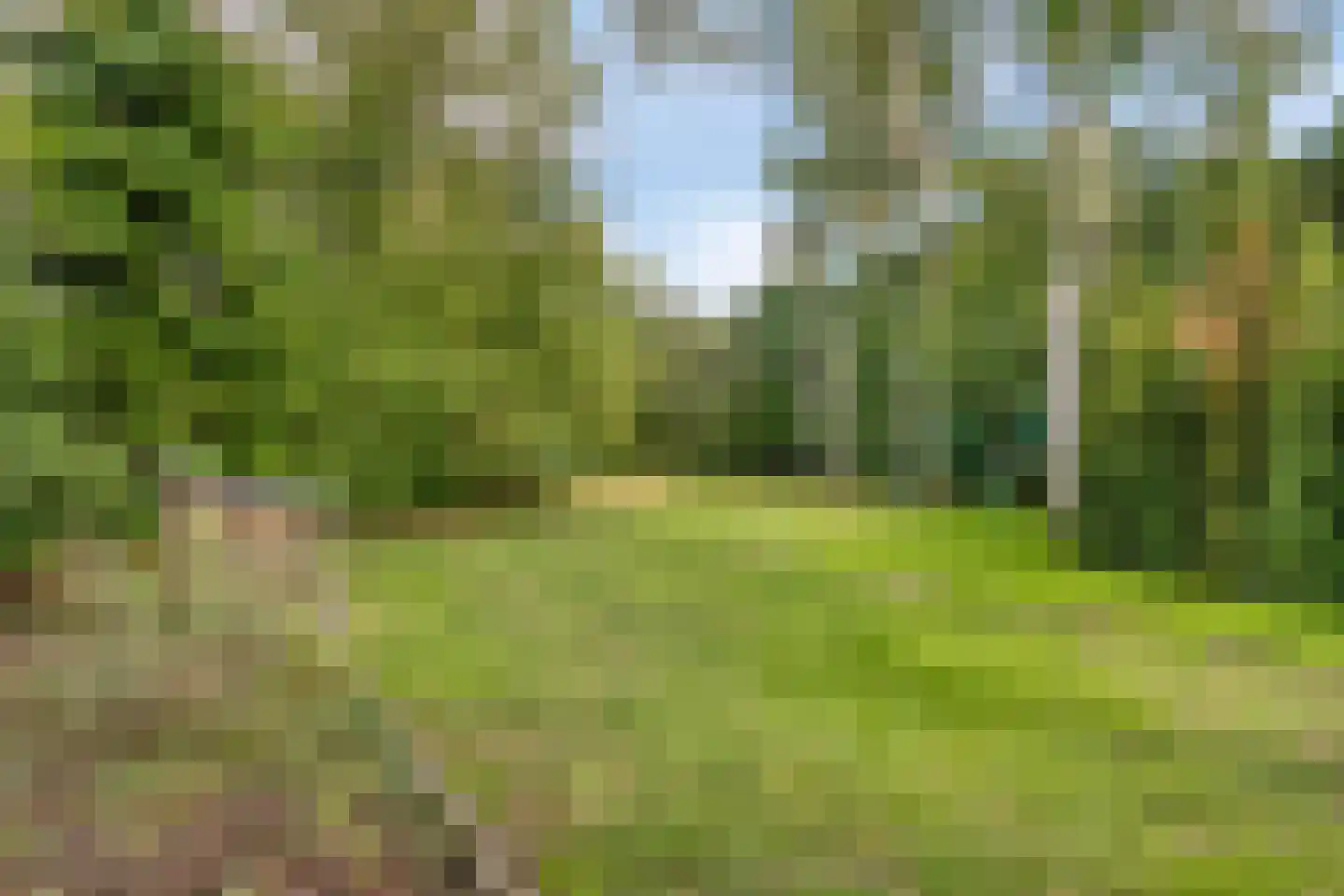 Dorpsstraat 83 Halsteren thumbnail 4