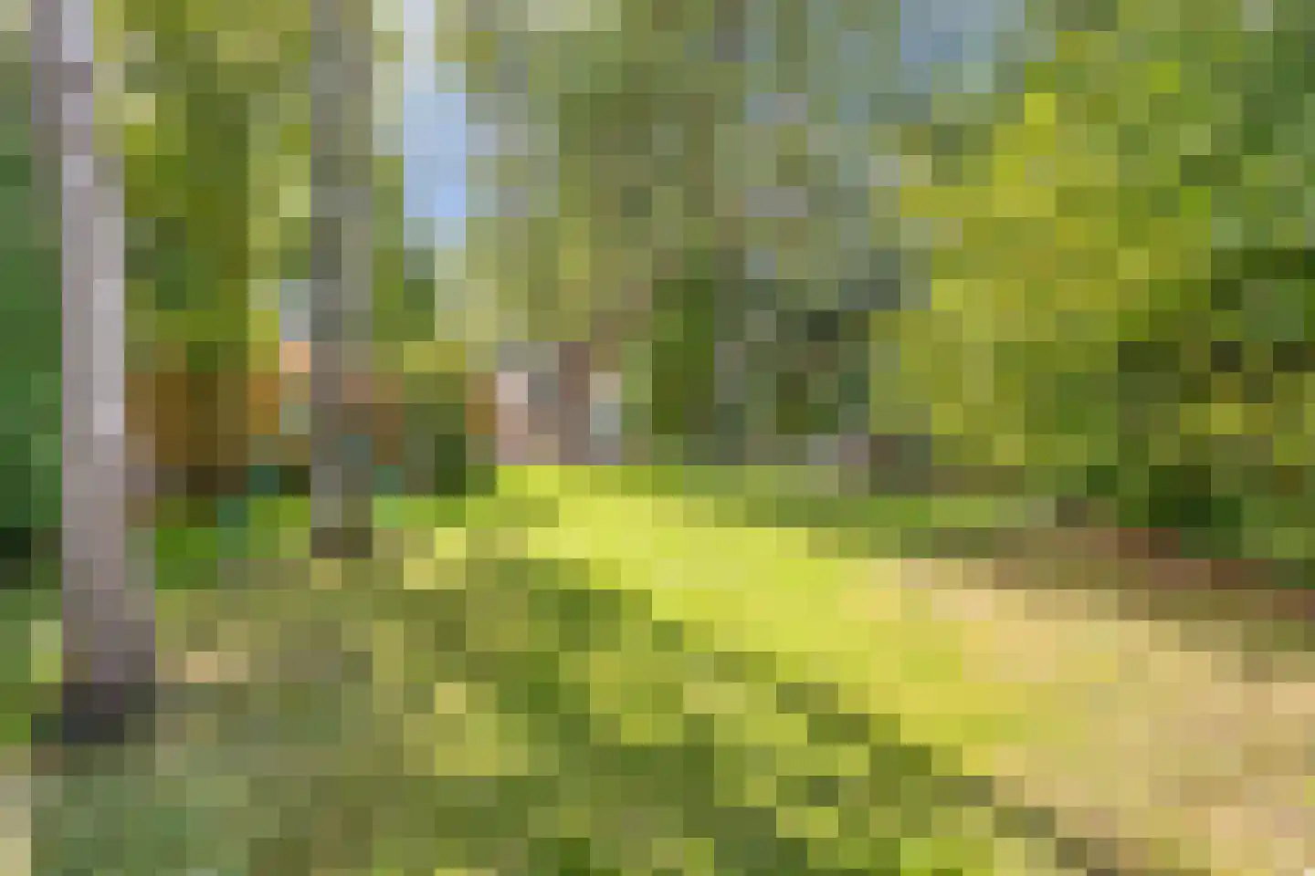 Dorpsstraat 83 Halsteren thumbnail 42