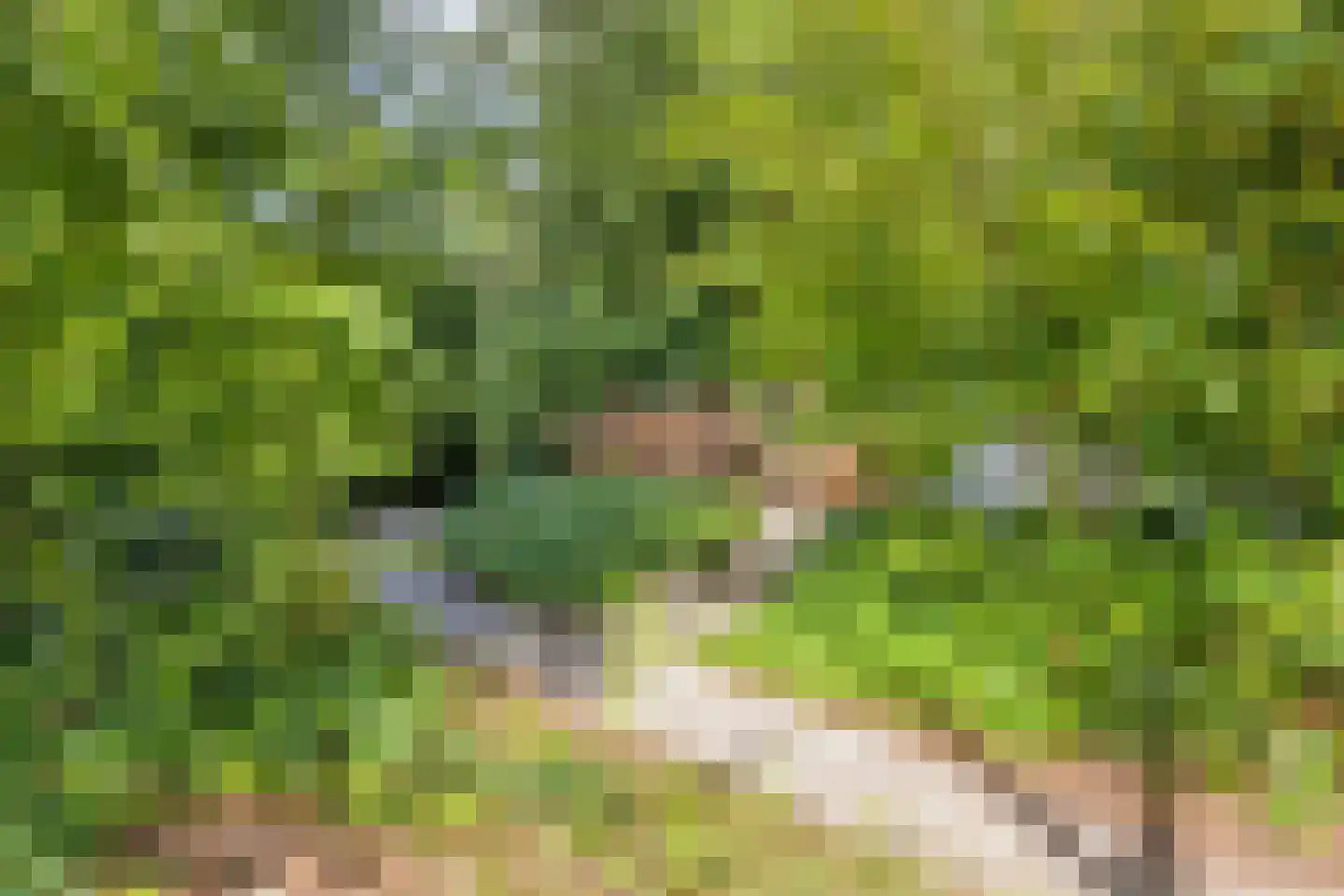 Dorpsstraat 83 Halsteren thumbnail 44