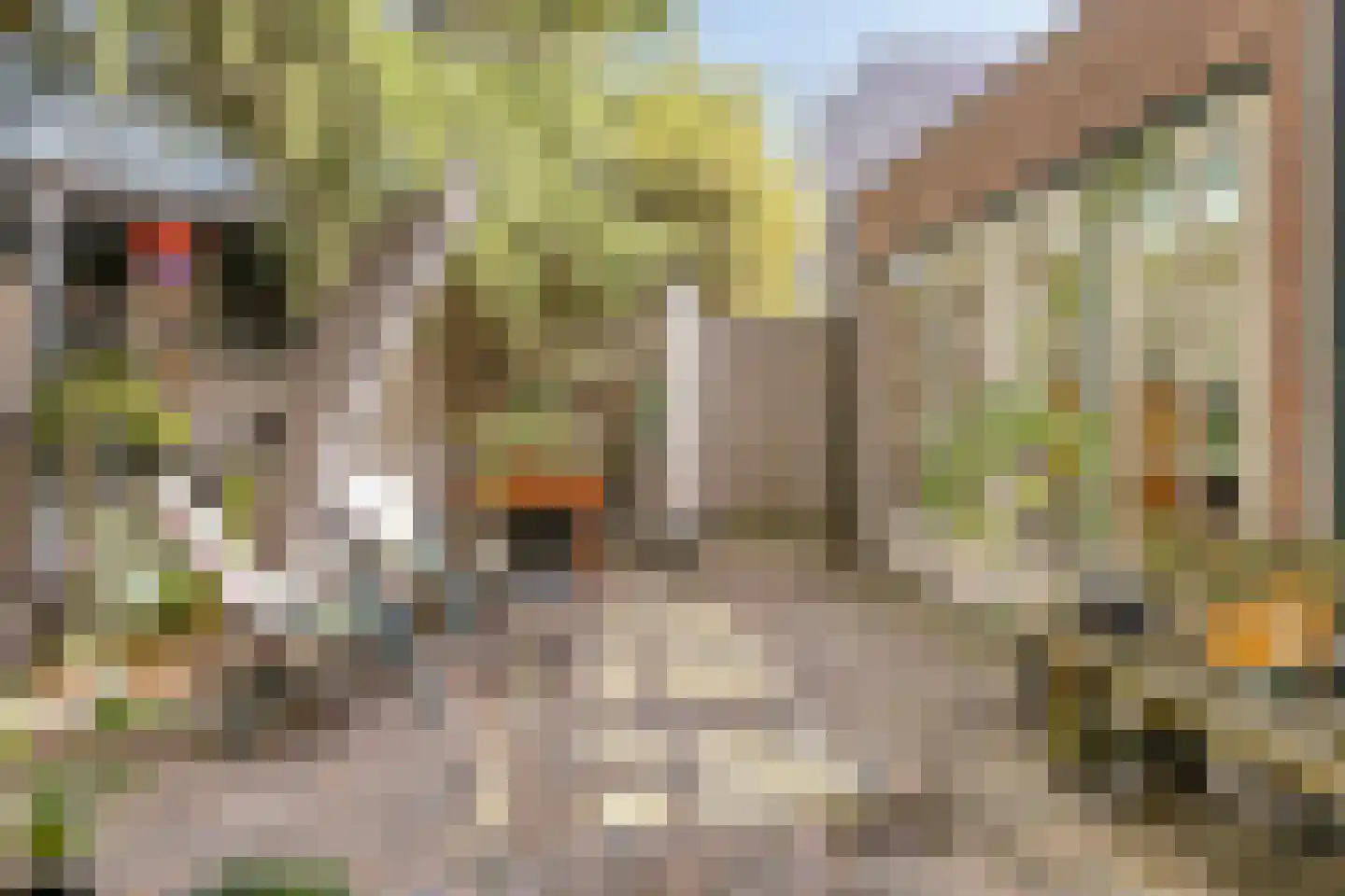 Dorpsstraat 83 Halsteren thumbnail 48