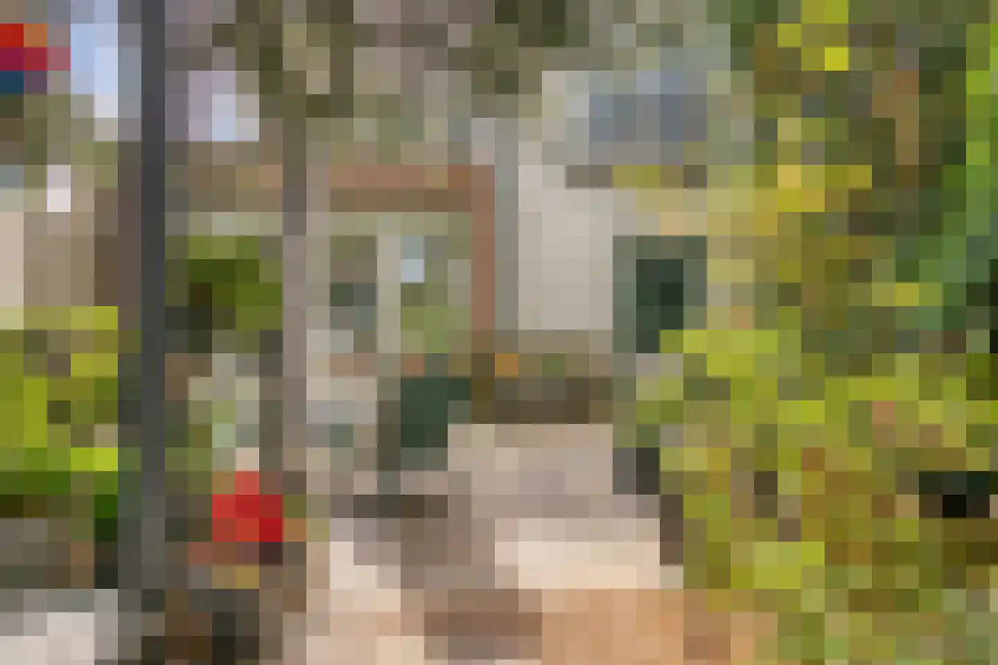 Dorpsstraat 83 Halsteren thumbnail 49