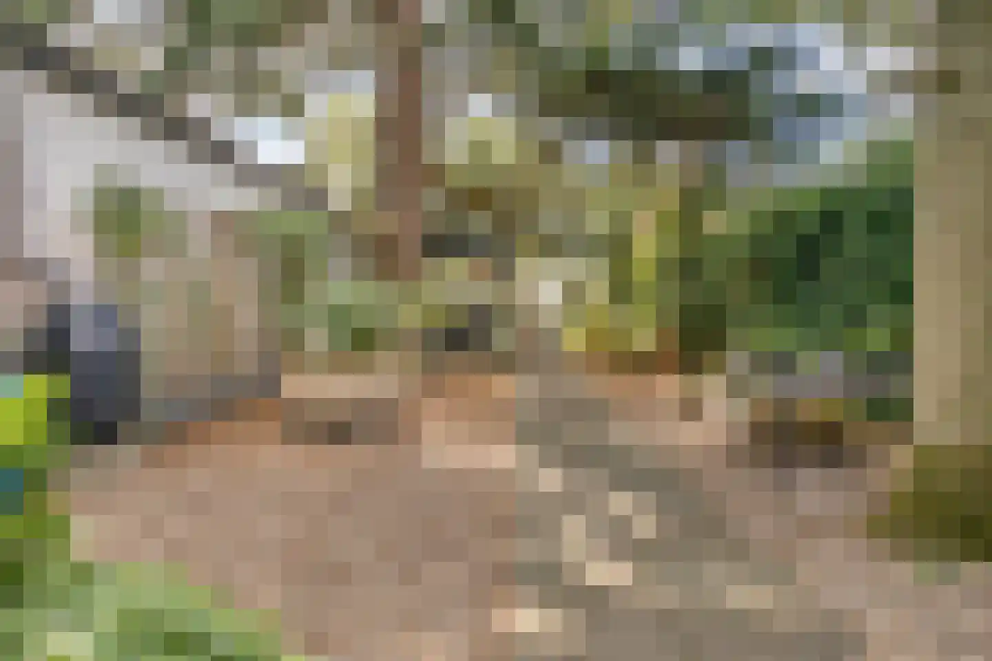 Dorpsstraat 83 Halsteren thumbnail 51