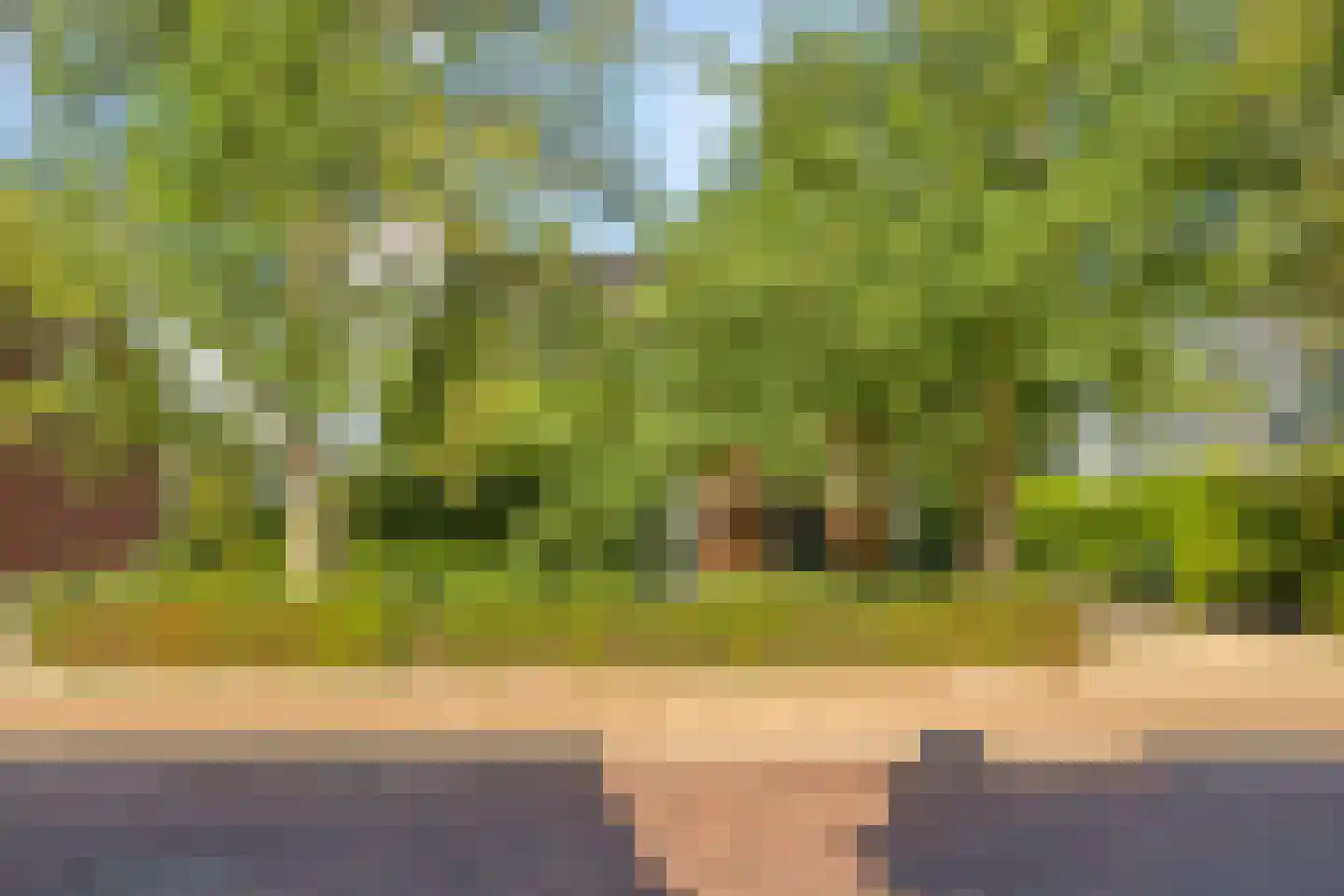 Dorpsstraat 83 Halsteren thumbnail 67