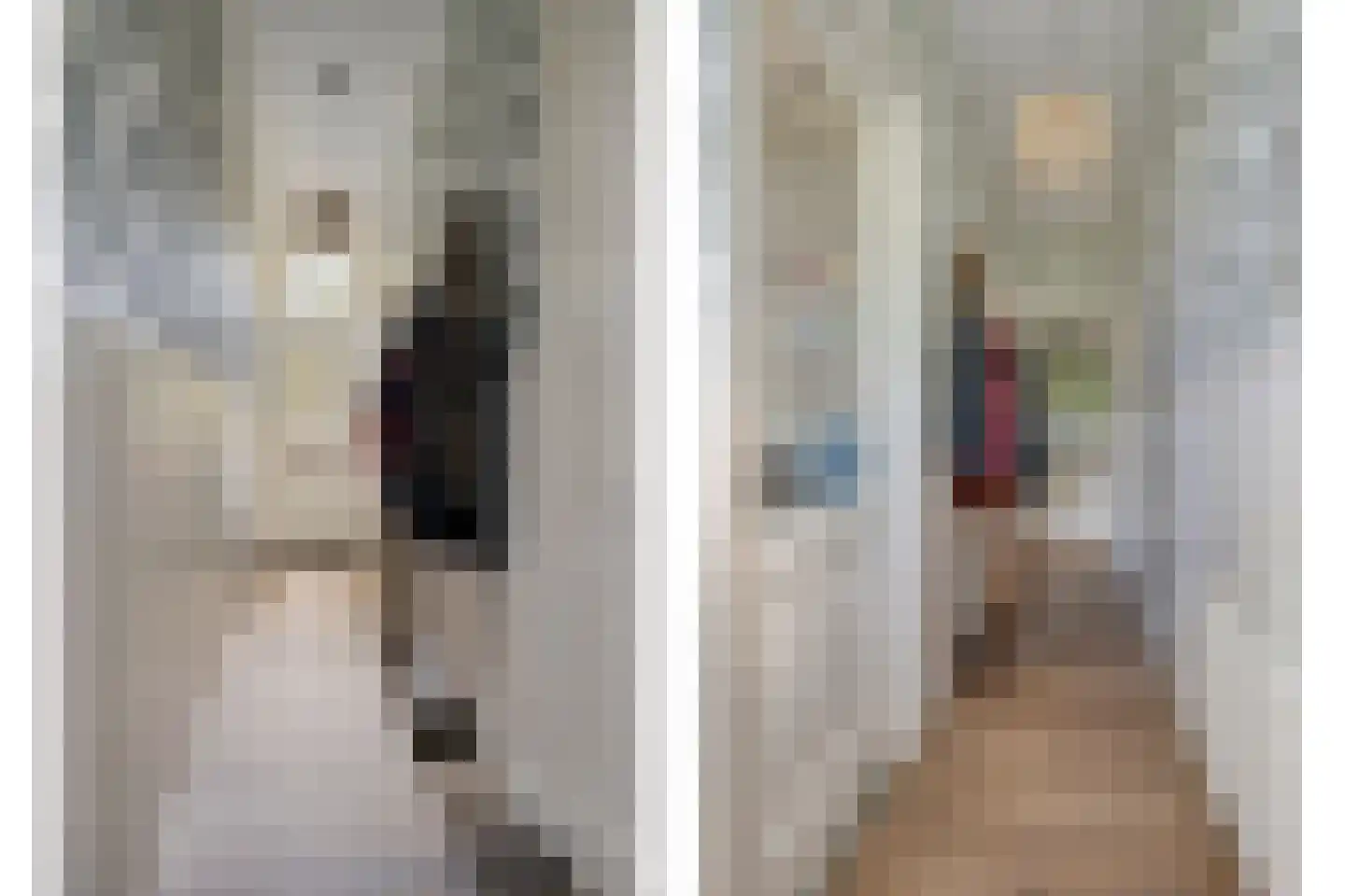 Dorpsstraat 83 Halsteren thumbnail 7