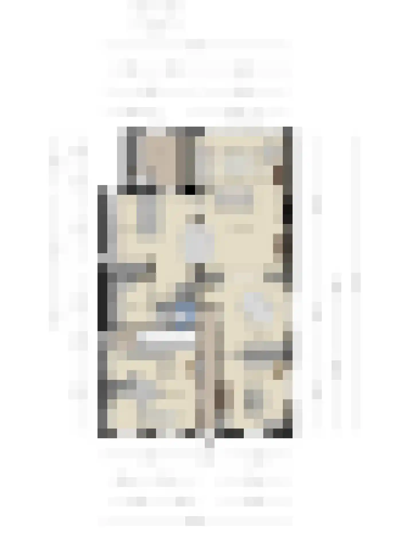 Dorpsstraat 83 Halsteren thumbnail 73