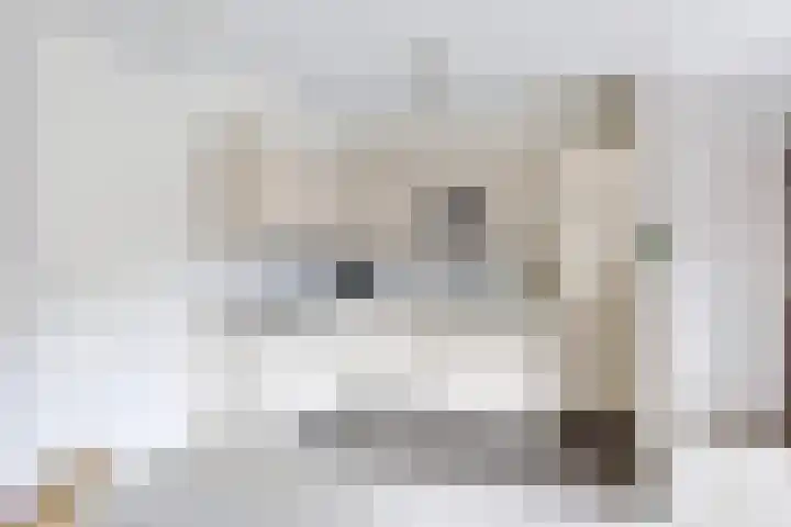 Dorpsstraat 83 Heino thumbnail 18