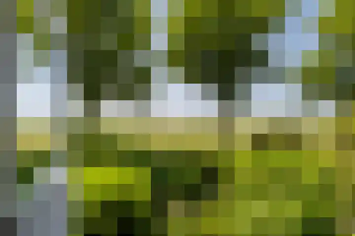Dorpsstraat 83 Oterleek thumbnail 6