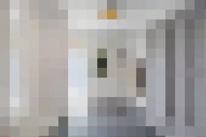 Dorpsstraat 83 Oterleek thumbnail 7