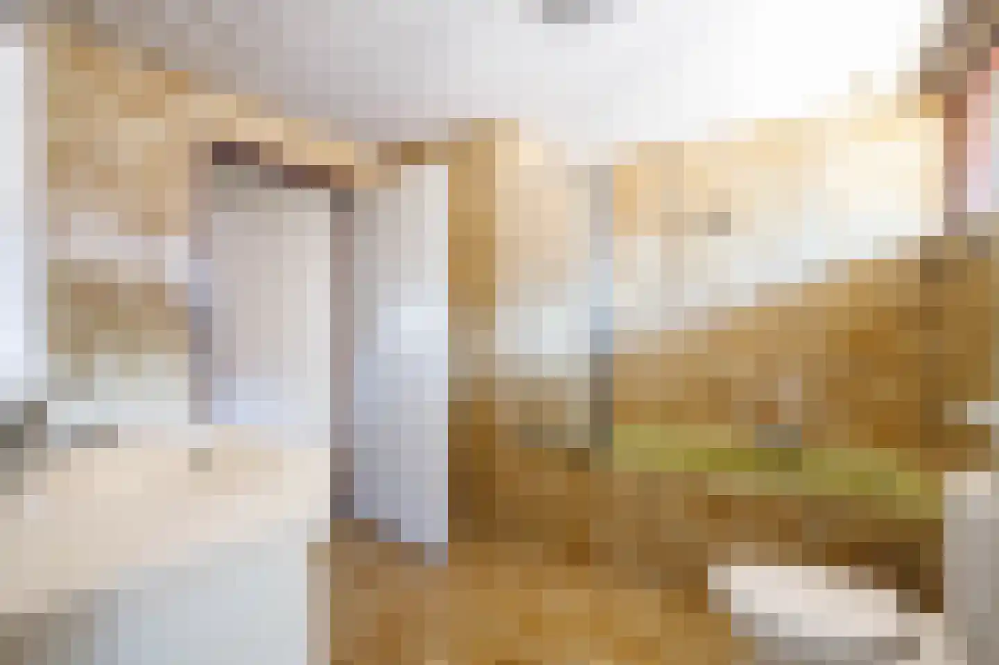 Dorpsstraat 83 Zevenhuizen thumbnail 21