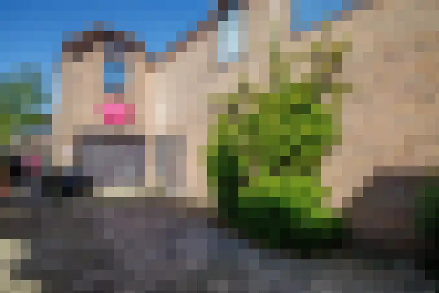 Dorpsstraat 83 Zevenhuizen thumbnail 42