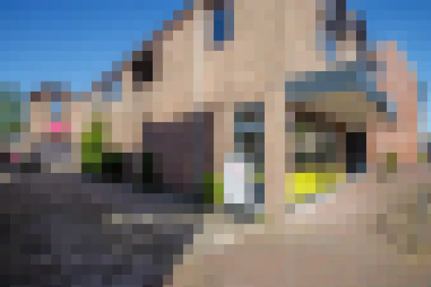 Dorpsstraat 83 Zevenhuizen thumbnail 43