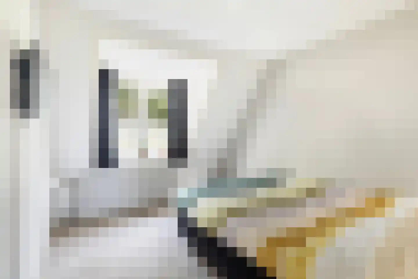 Dorpsstraat 83 Zuid-Beijerland thumbnail 29
