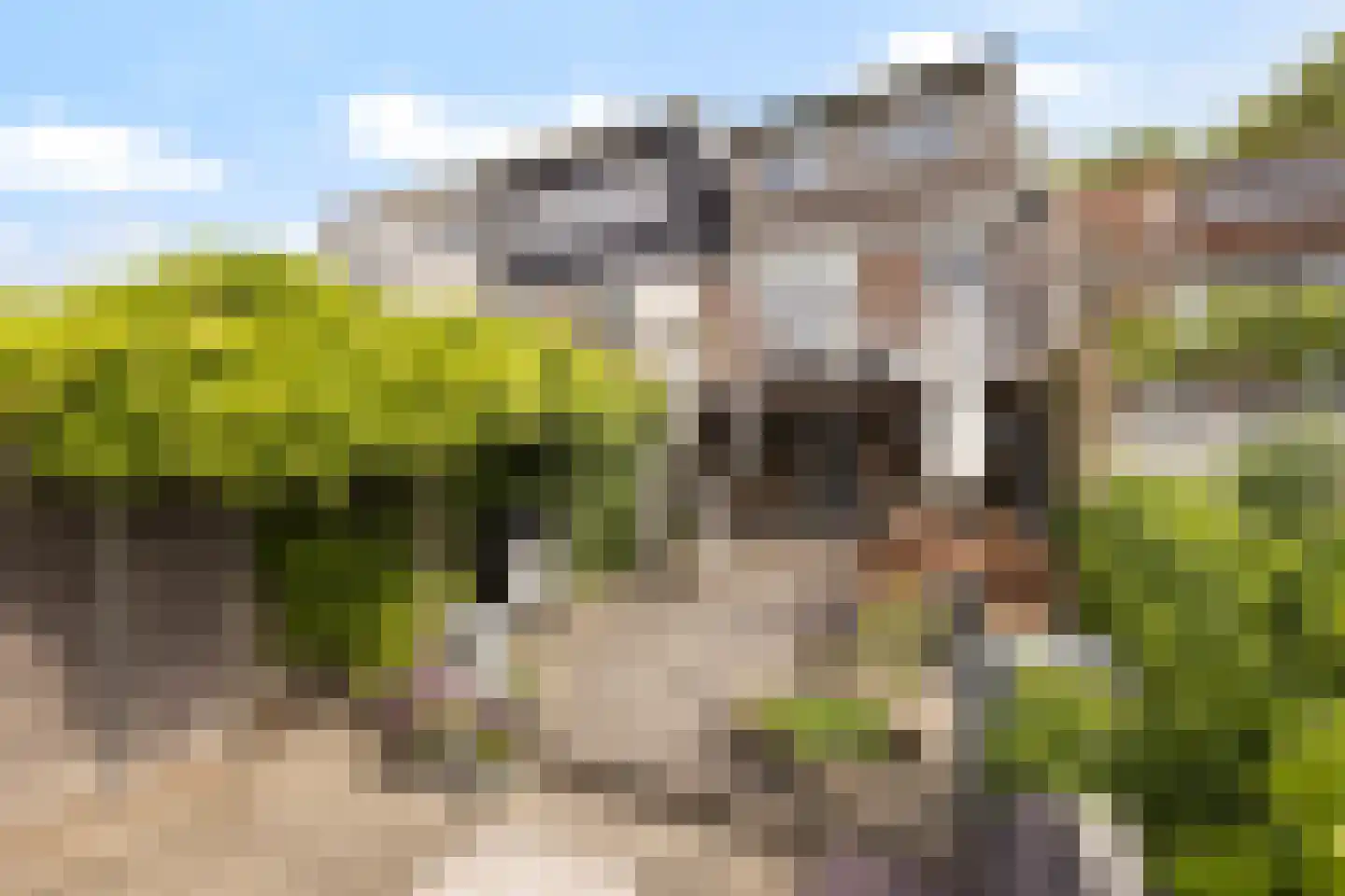 Dorpsstraat 83 Zuid-Beijerland thumbnail 36