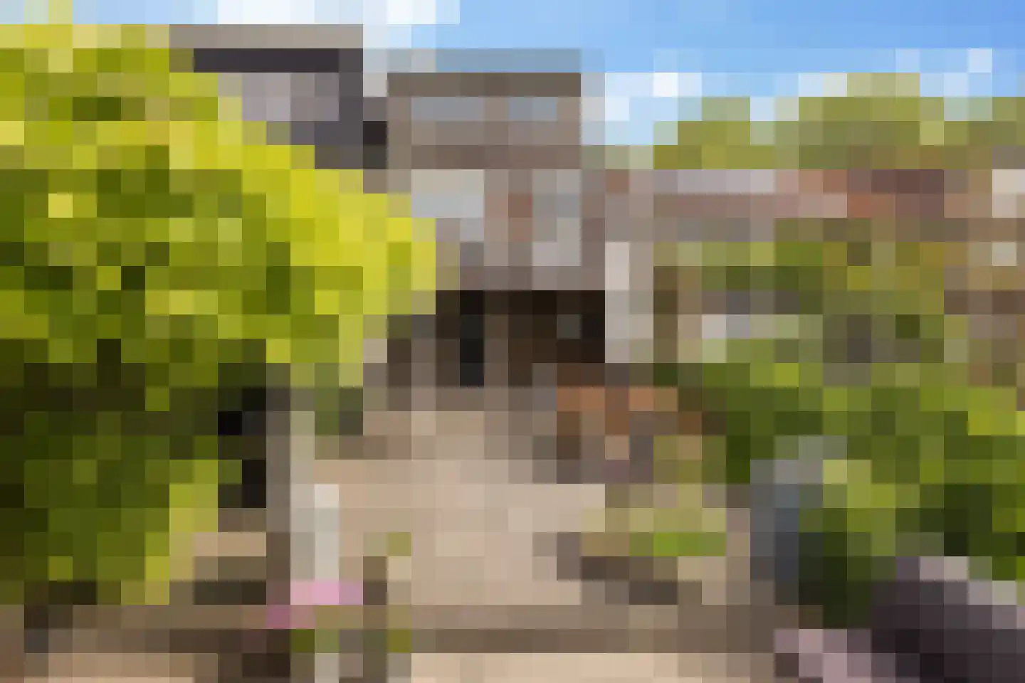 Dorpsstraat 83 Zuid-Beijerland thumbnail 37