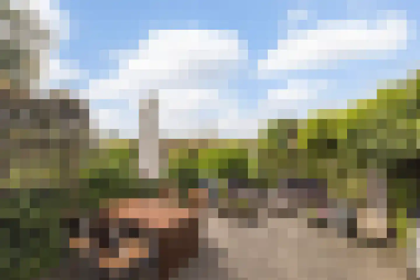 Dorpsstraat 83 Zuid-Beijerland thumbnail 39