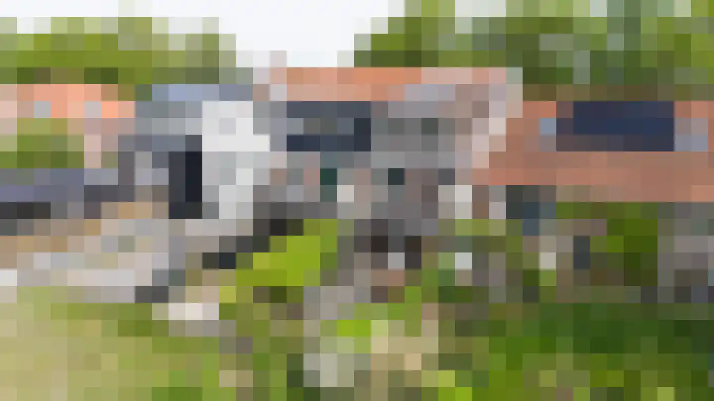 Dorpsstraat 83 Zuid-Beijerland thumbnail 42