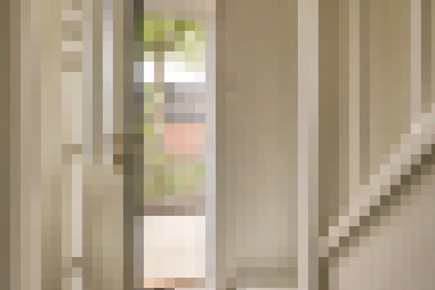 Dorpsstraat 837 B Oudkarspel thumbnail 5