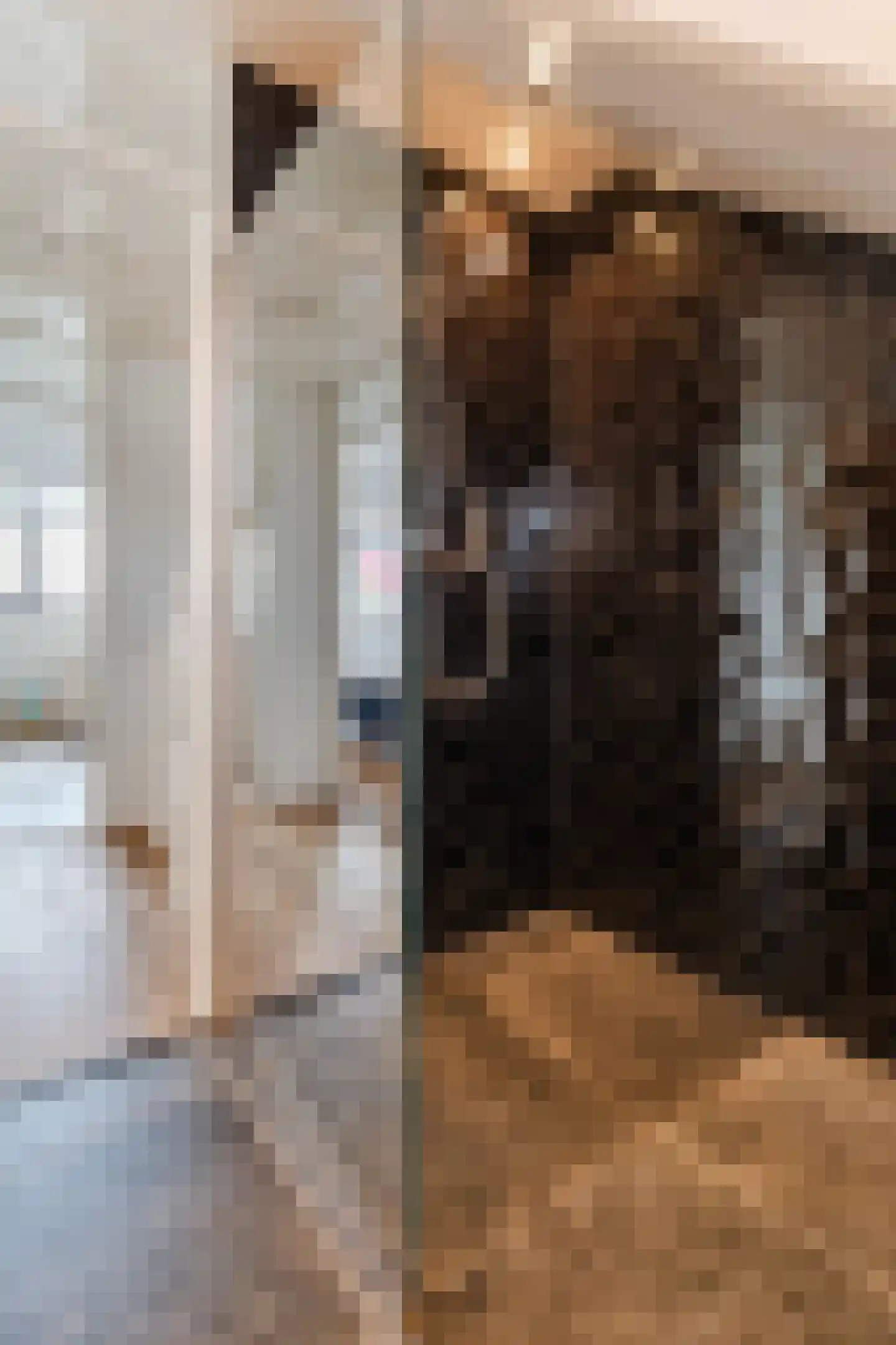 Dorpsstraat 839 Assendelft thumbnail 35
