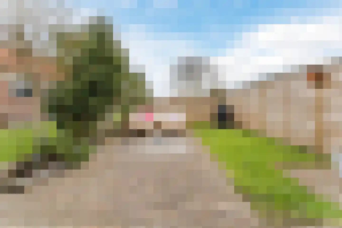 Dorpsstraat 839 Assendelft thumbnail 4