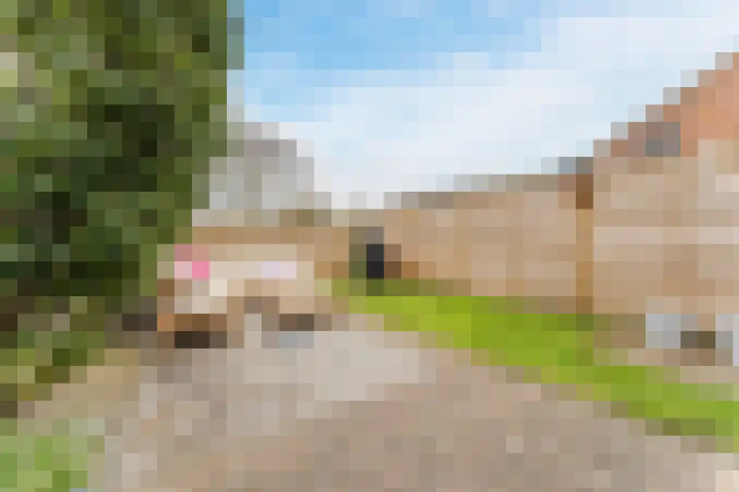 Dorpsstraat 839 Assendelft thumbnail 40