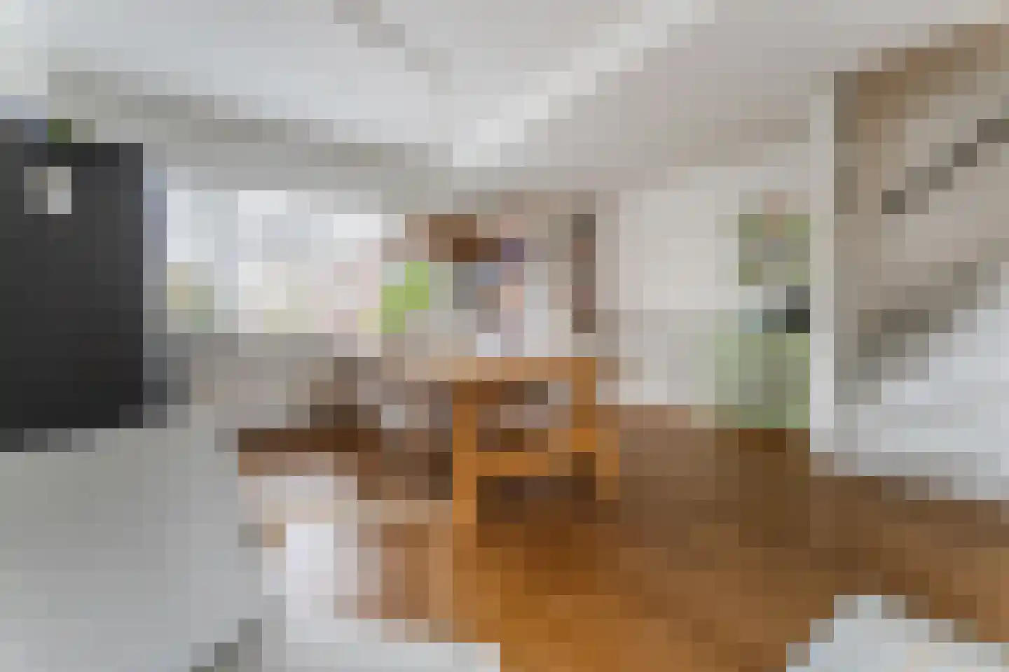 Dorpsstraat 839 Assendelft thumbnail 9