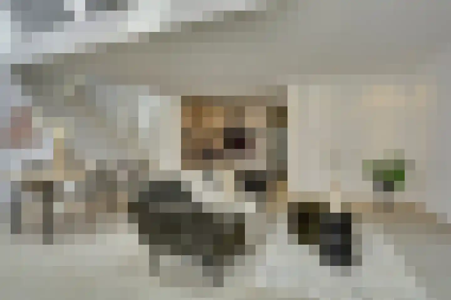 Dorpsstraat 84 Melick thumbnail 18