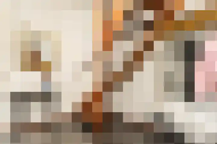 Dorpsstraat 843 K Assendelft thumbnail 10