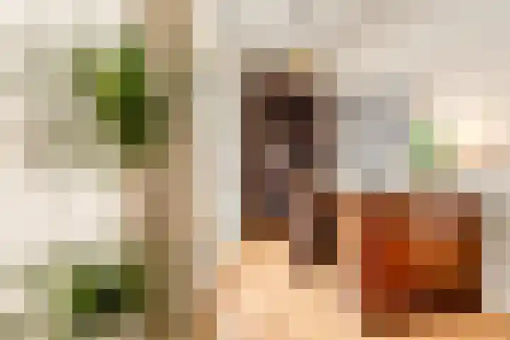 Dorpsstraat 843 K Assendelft thumbnail 15