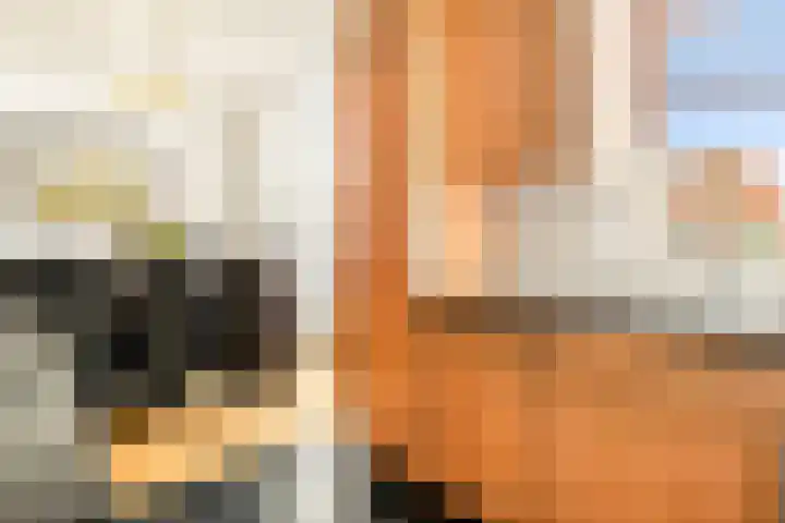 Dorpsstraat 843 K Assendelft thumbnail 23