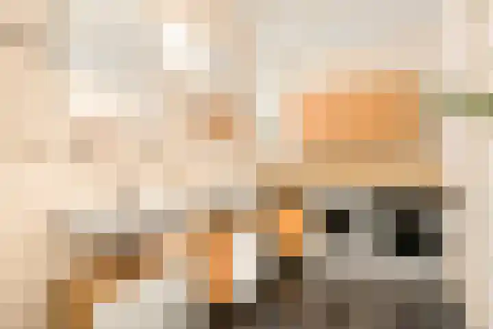 Dorpsstraat 843 K Assendelft thumbnail 30