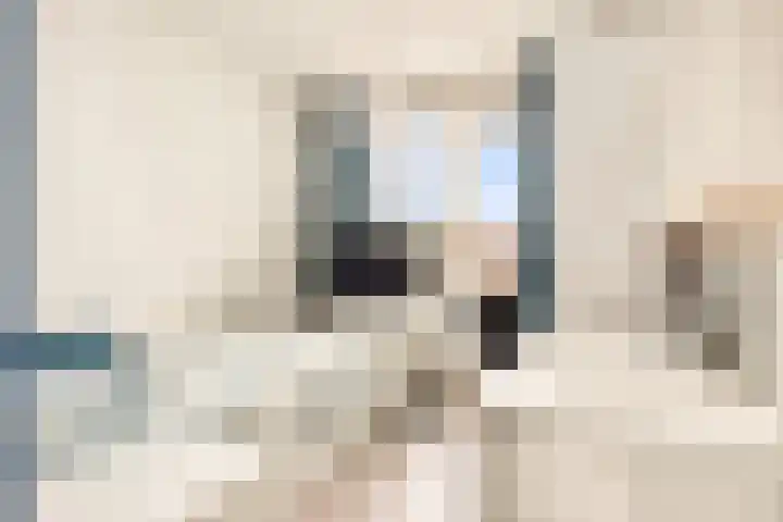Dorpsstraat 843 K Assendelft thumbnail 34