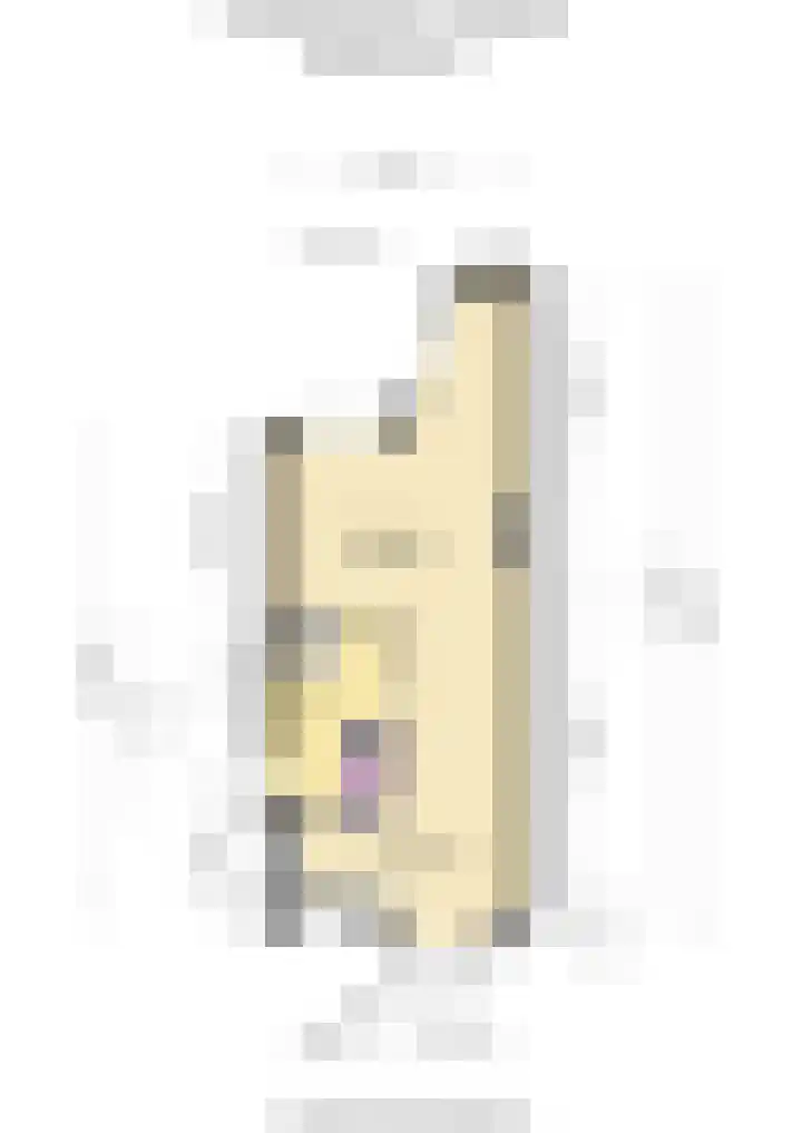 Dorpsstraat 843 K Assendelft thumbnail 57