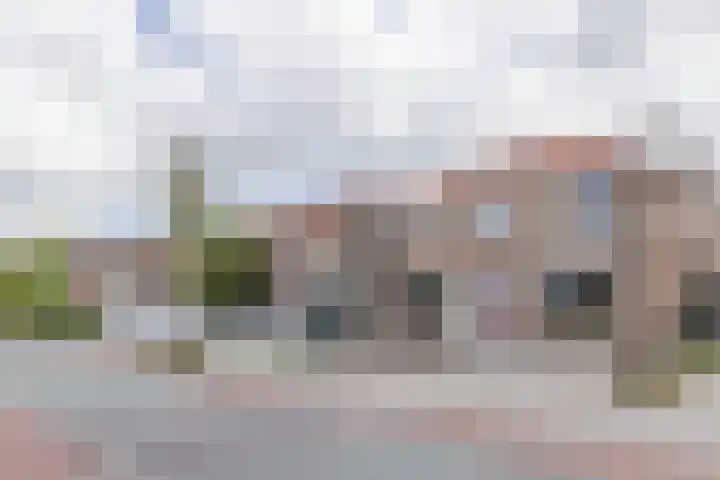 Dorpsstraat 845 Assendelft thumbnail 34