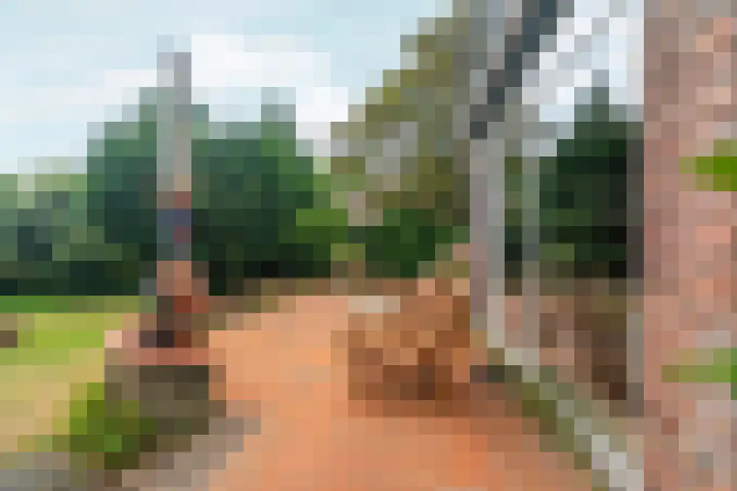 Dorpsstraat 85 Bemmel thumbnail 101