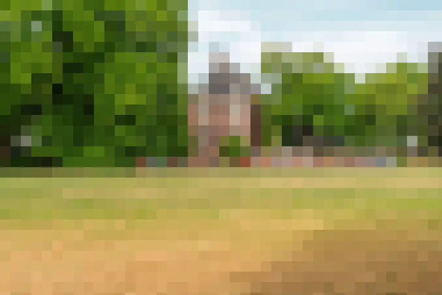Dorpsstraat 85 Bemmel thumbnail 106